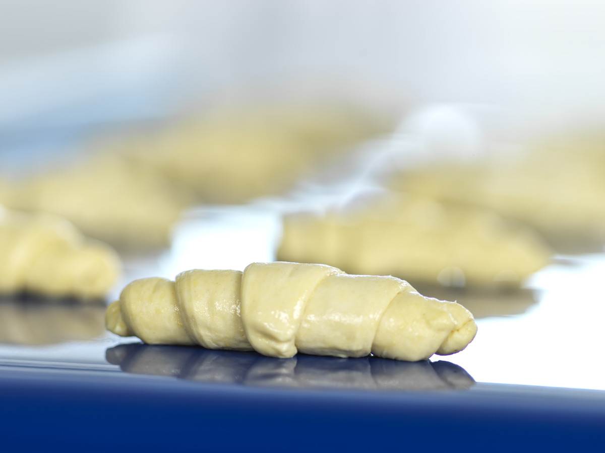 jkfphoto-habasit131278.jpg图片