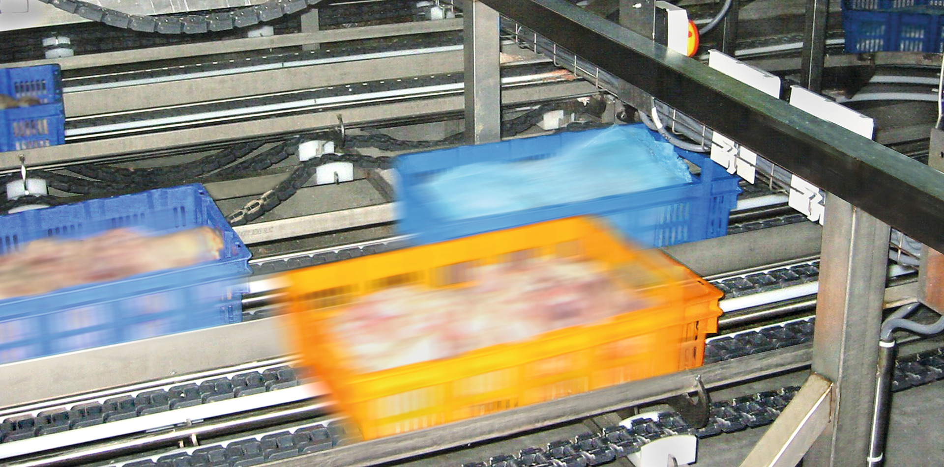 案例chain_Poultry NL.psd