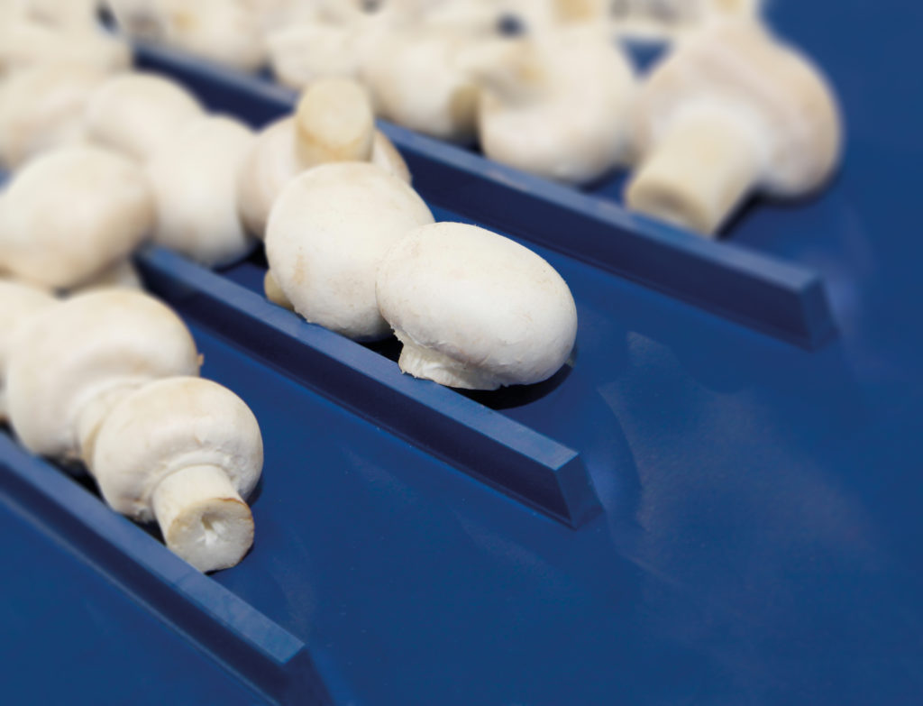 哈伯斯特符合食品输送带欧盟的卫生要求