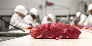 How meat and poultry processors can stay ahead amid new industry challenges_Habasit