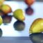 Do you know the many uses and properties of polyurethane